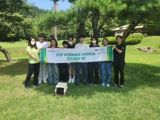 야생동물구조관리센터, 멸종위기종 올빼미 자연 방생 게시글 썸네일