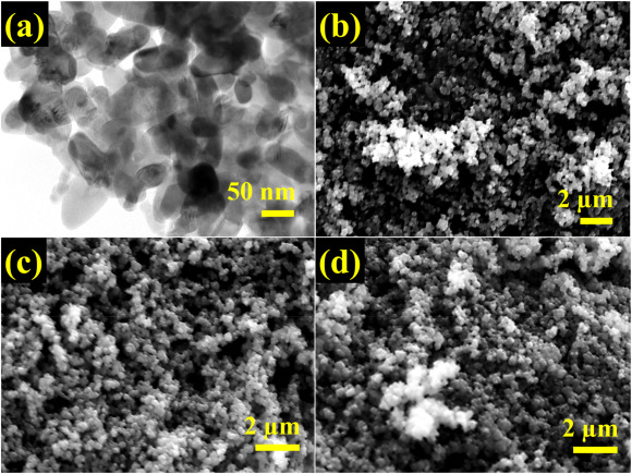 Polypyrrole/zeolite composite – A nanoadsorbent for reactive dyes removal from synthetic solution 썸네일