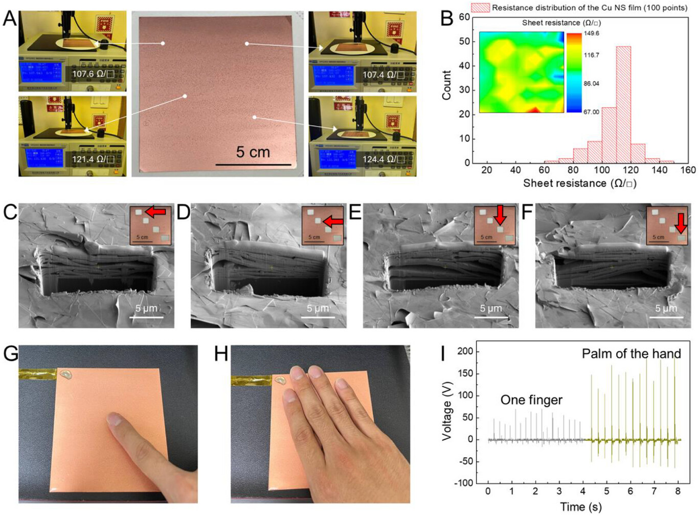 Reconfiguring Hierarchical Porous Architecture of 2D Metal Nanosheets for Multifunctional Triboelectric Nanogenerators
